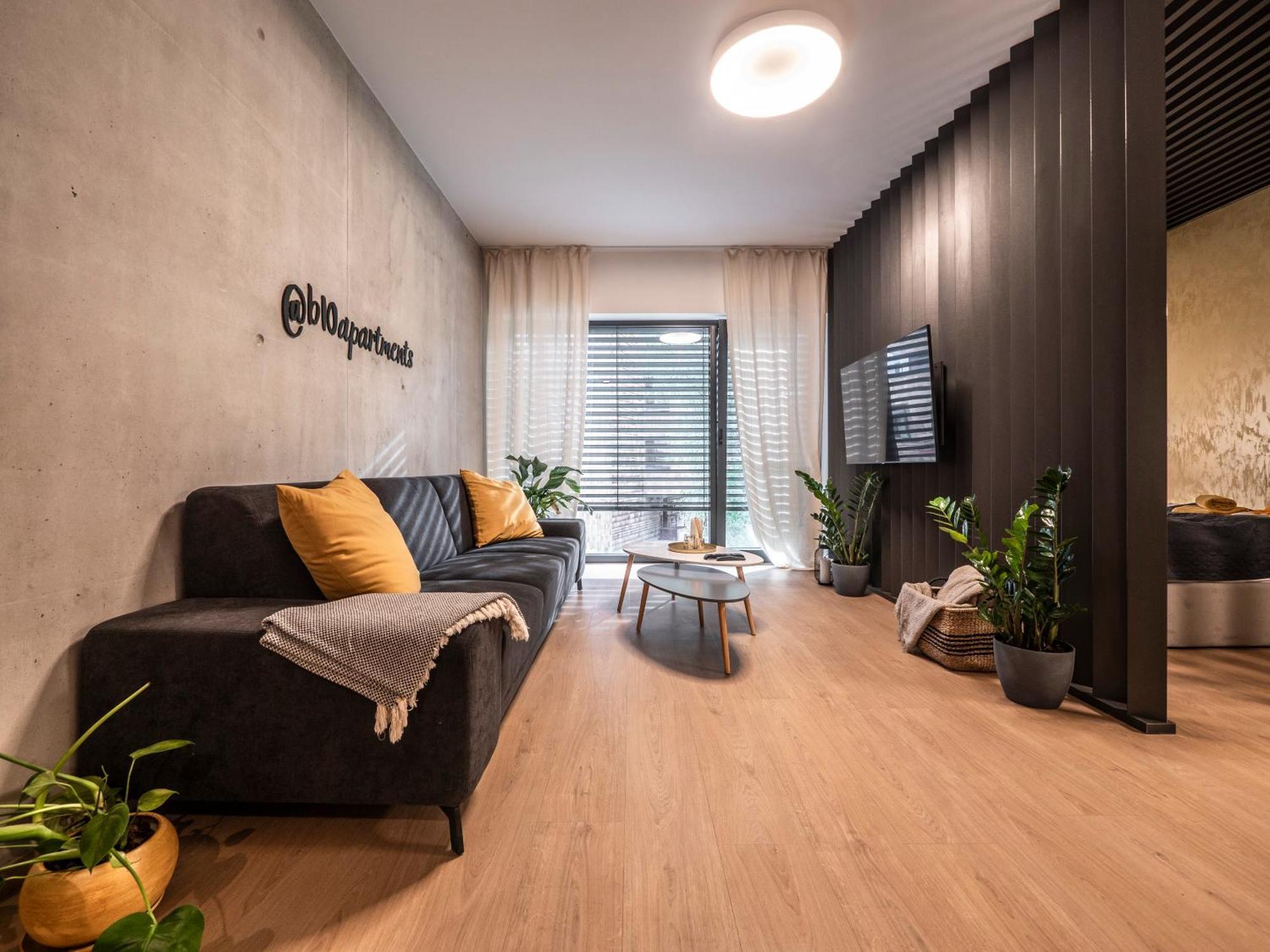 B10 Business Apartments ชิลินา ภายนอก รูปภาพ