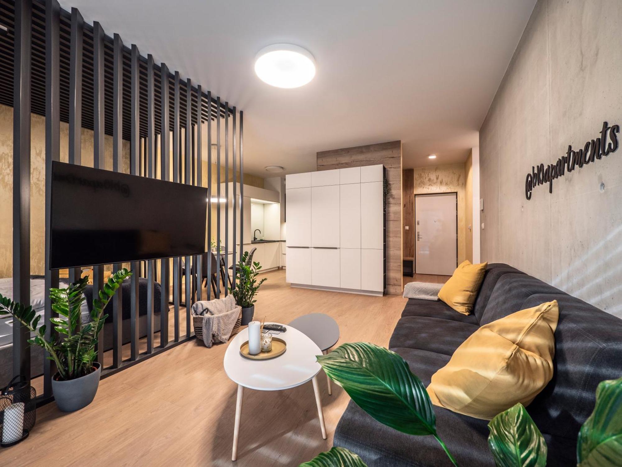 B10 Business Apartments ชิลินา ภายนอก รูปภาพ